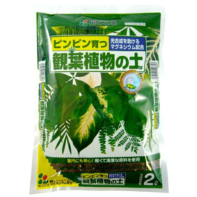 観葉植物の土 2l リットル 花ごころ 想像より量が少ないかもしれません 植え替えなら直径cm位の鉢までが適当 Hg Kanyo2 植木鉢 鉢カバー専門店グーポット 通販 Yahoo ショッピング