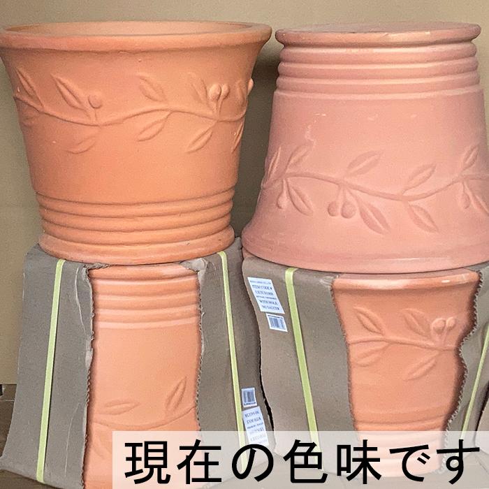 訳あり 植木鉢 おしゃれ テラコッタ オリーブポット 素焼き鉢 大小2個