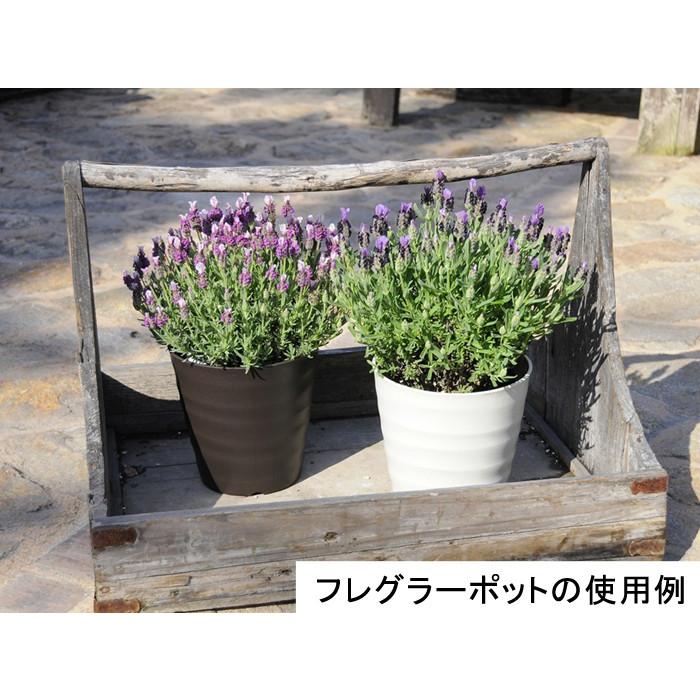 フレグラーポット お気にいる 30cm 植木鉢 おしゃれ 10号 アイボリー 14リットル 屋外 室内 鉢カバーとしても使用可能 軽い プラスチック サイズが合えば