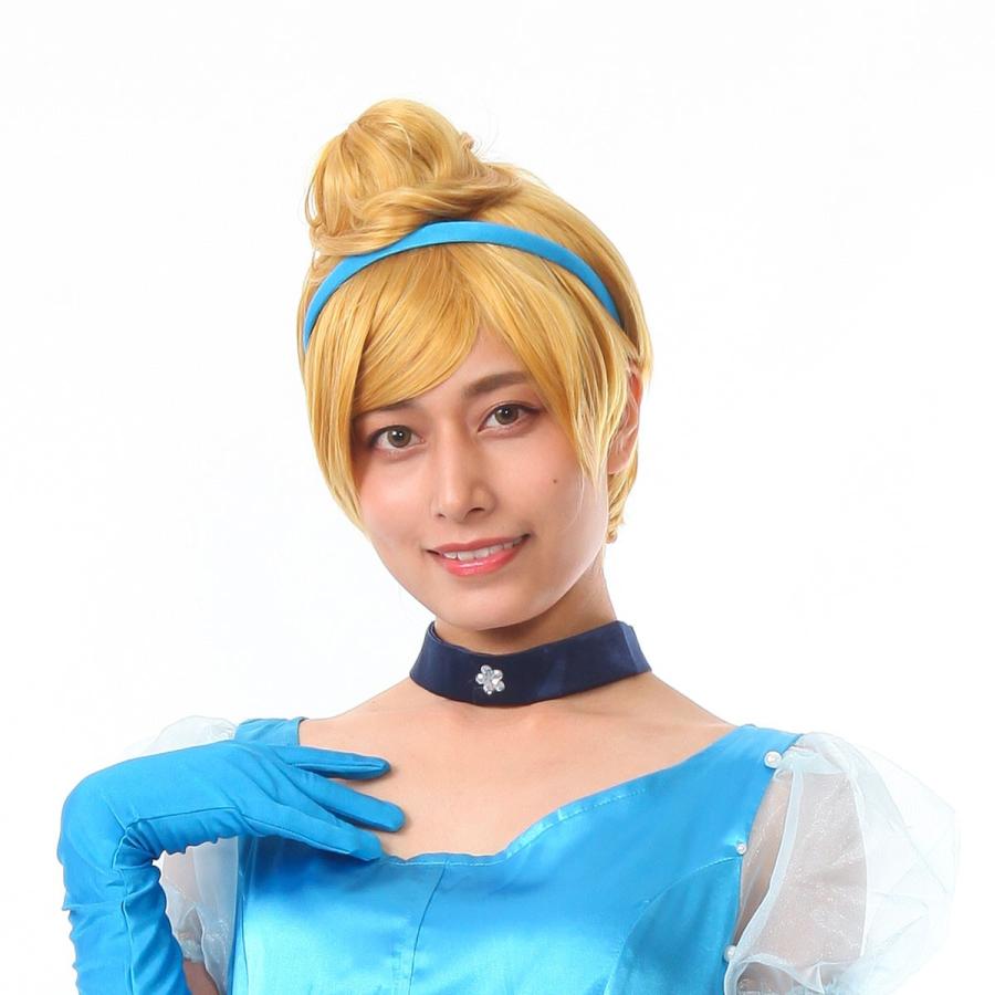 シンデレラ ウィッグ コスプレ ティンカーベル かつら アップ シンデレラ ウィッグ コスプレ ティンカーベル かつら アップ
