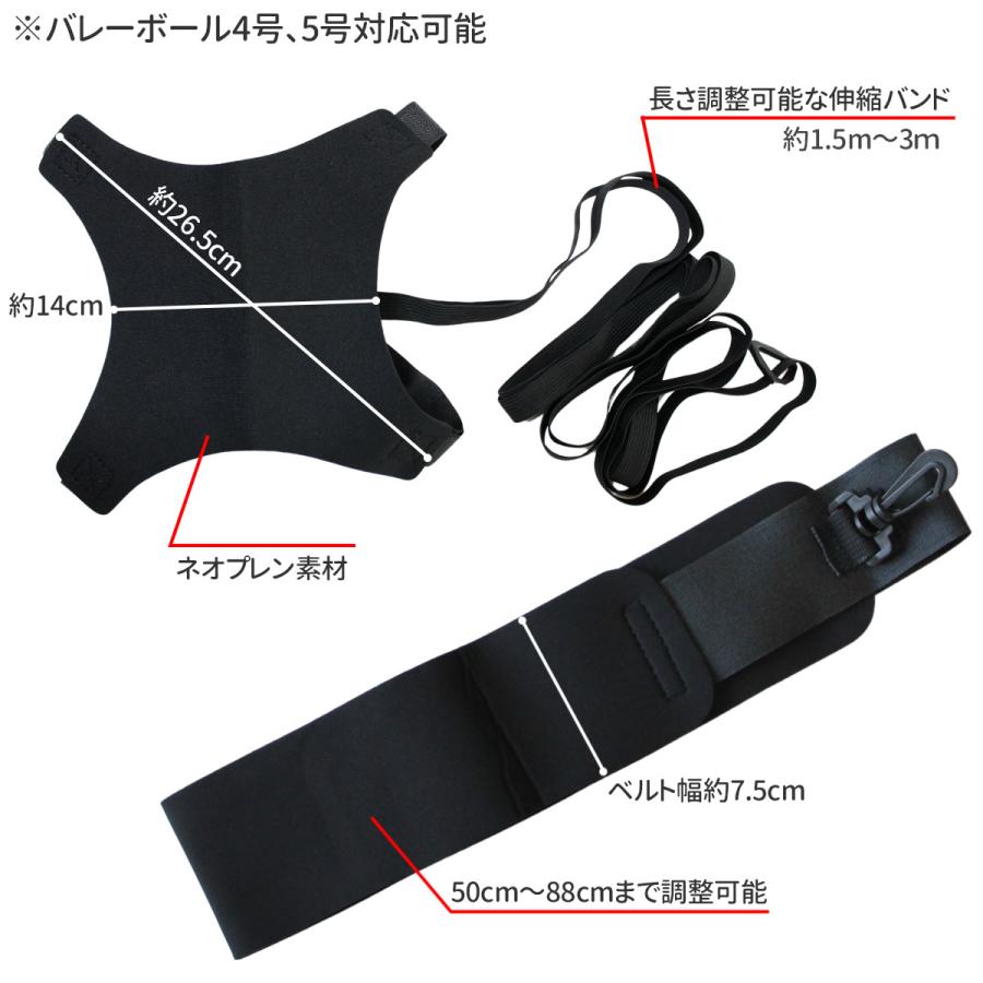 2点セット】バレー サーブ 練習 バレーボール トス サービス