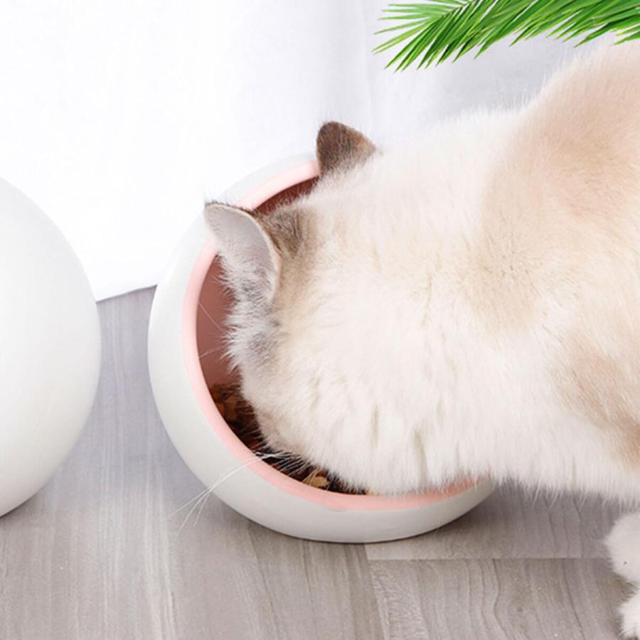 猫 食器 陶器 猫用 食事 フード ボウル ねこ 皿 ペット 犬 餌入れ 犬用