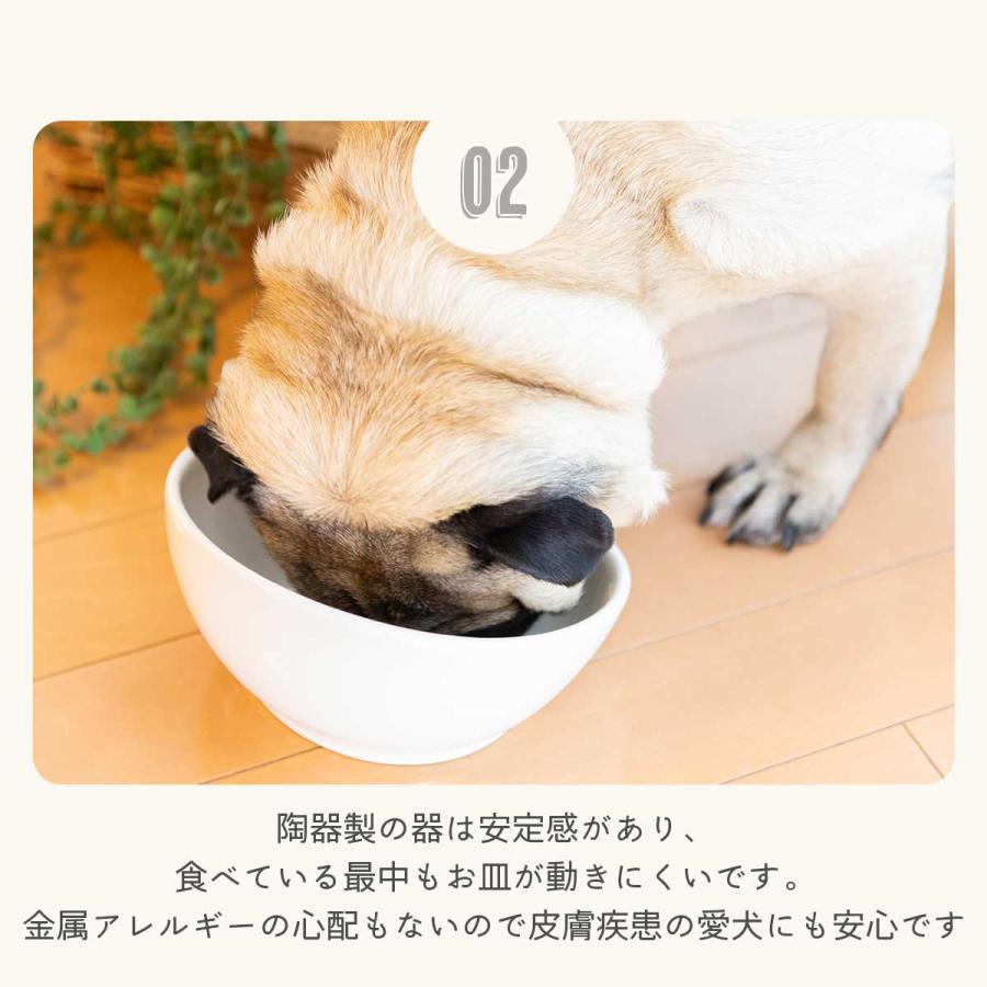 犬 食器 陶器 犬用 食事 皿 いぬ フレンチブルドッグ 専用
