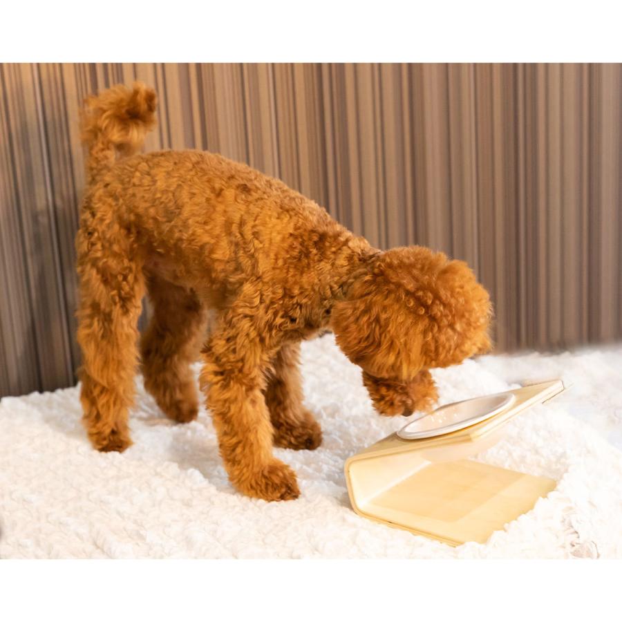 犬 食器 陶器 スタンド 犬用 食器台 食事 フード ボウル 猫 餌入れ 猫用 水入れ ペット ねこ 老犬 老猫 皿 ペット用 器 X690 いいひ Yahoo ショッピング店 通販 Yahoo ショッピング