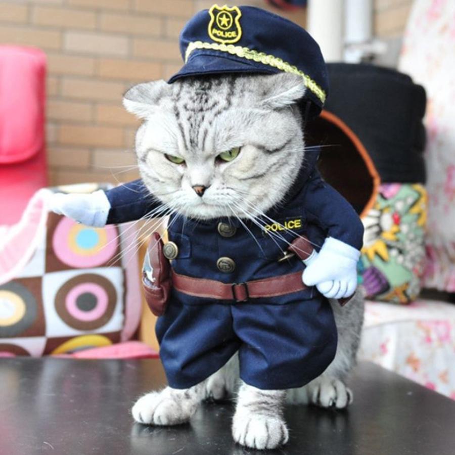 猫用 服 コスプレ 猫 犬 仮装 洋服 おもしろい 子猫 変身 着ぐるみ ペット服 ねこ 犬用 直立 コスチューム ネコ いぬ かわいい ウェア X784 いいひ Yahoo ショッピング店 通販 Yahoo ショッピング