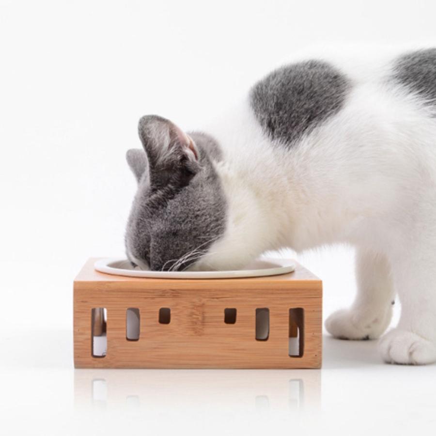 猫 食器 可愛い 猫用 餌入れ 水飲み 水入れ 皿 セット : いいひ - 通販