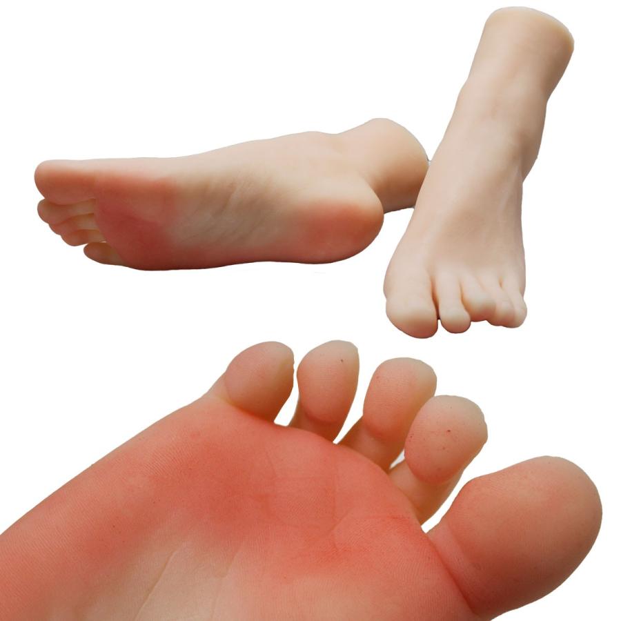 人気カラー再販 デッサン人形足ドールディスプレイ 女足モデル模型シリコン人体スケッチ 24cm 短納期対応 Mahatmaacademy Com