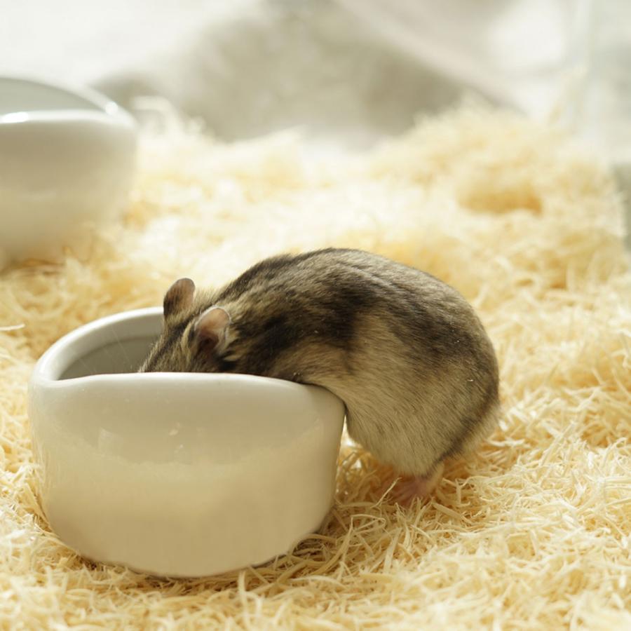 2個セット】ハムスター 水飲み 餌入れ 陶器 ハリネズミ えさいれ えさ