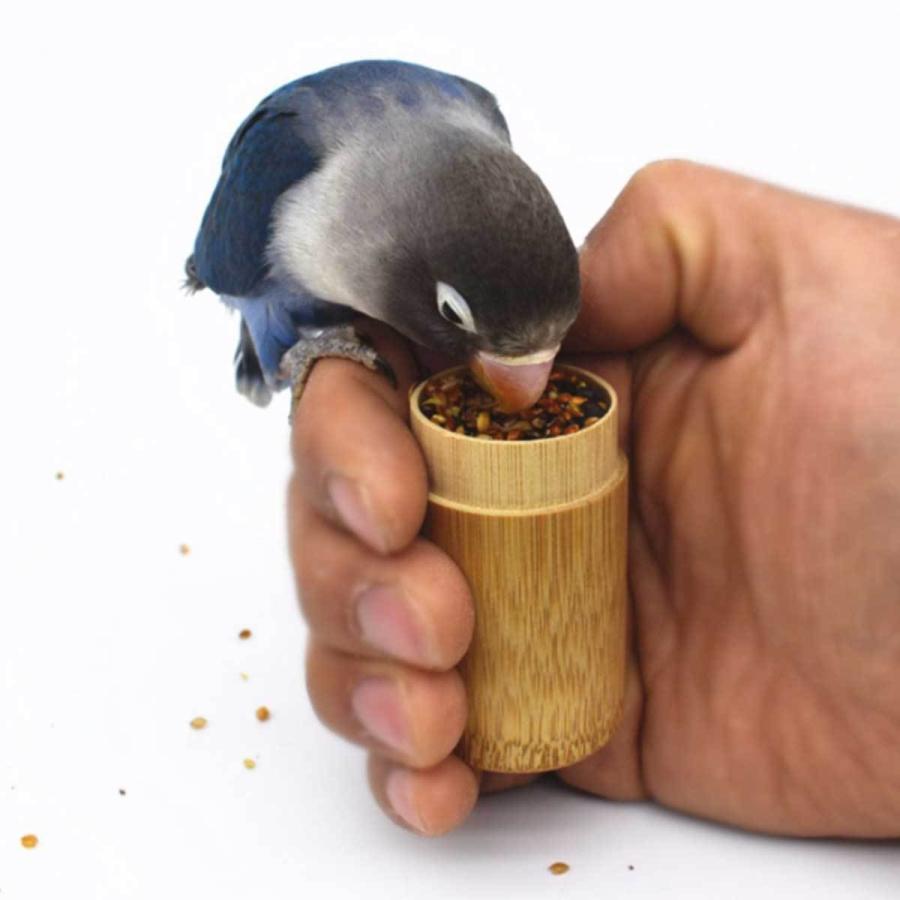 オウム用中型 鳥かご 金属製 餌入れ2個付き オウム用中型 鳥かご 金属製 餌入れ2個付き オウム用中型 鳥かご