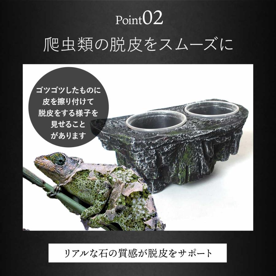 爬虫類　水 エサ入れ　21 GEX エキゾテラ ウォーターディッシュ L 爬虫類 水入れ