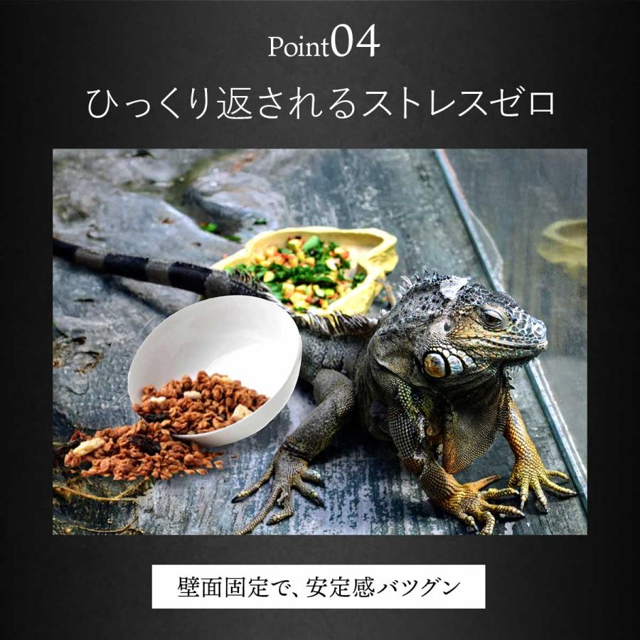 爬虫類 水入れ エサ入れ 吸盤 ウォーターディッシュ 餌入れ エサ皿