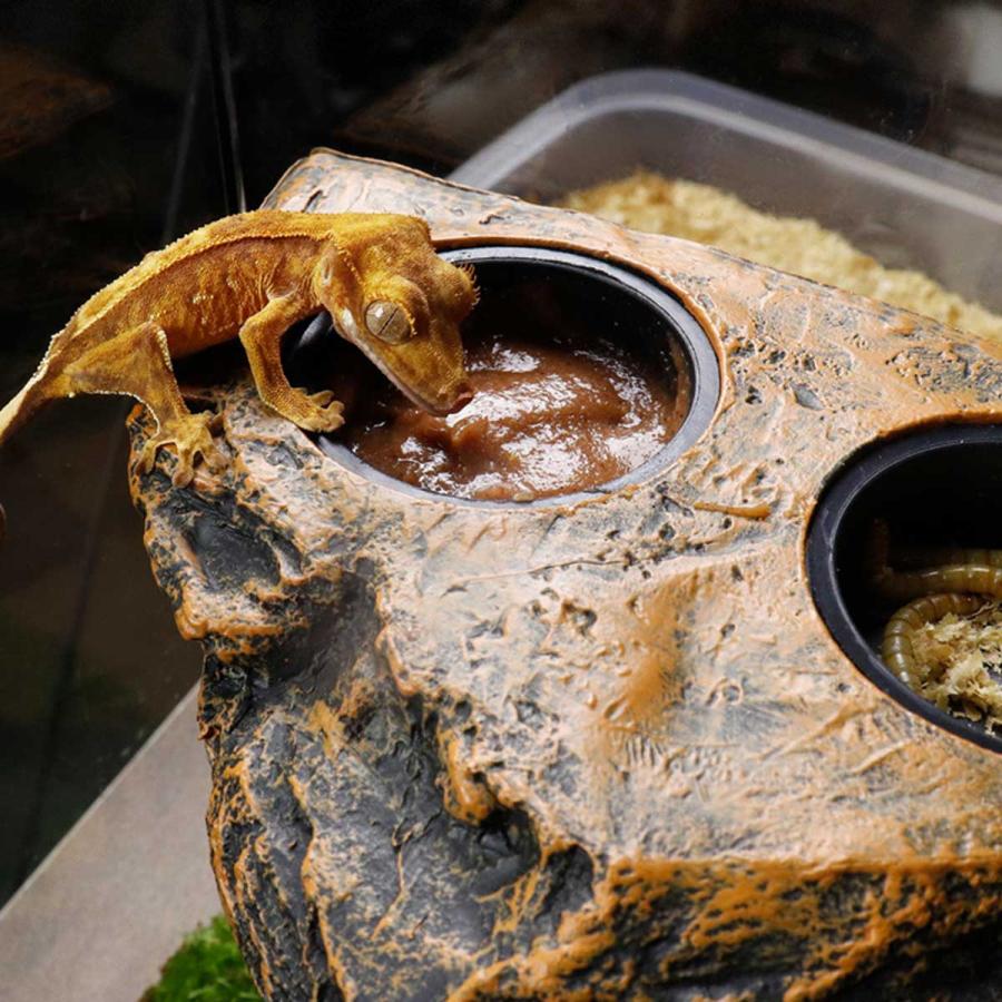 爬虫類　水 エサ入れ　23 楽天市場】送料無料 エサ入れ 餌入れ 水入れ M L 爬虫類 両生類