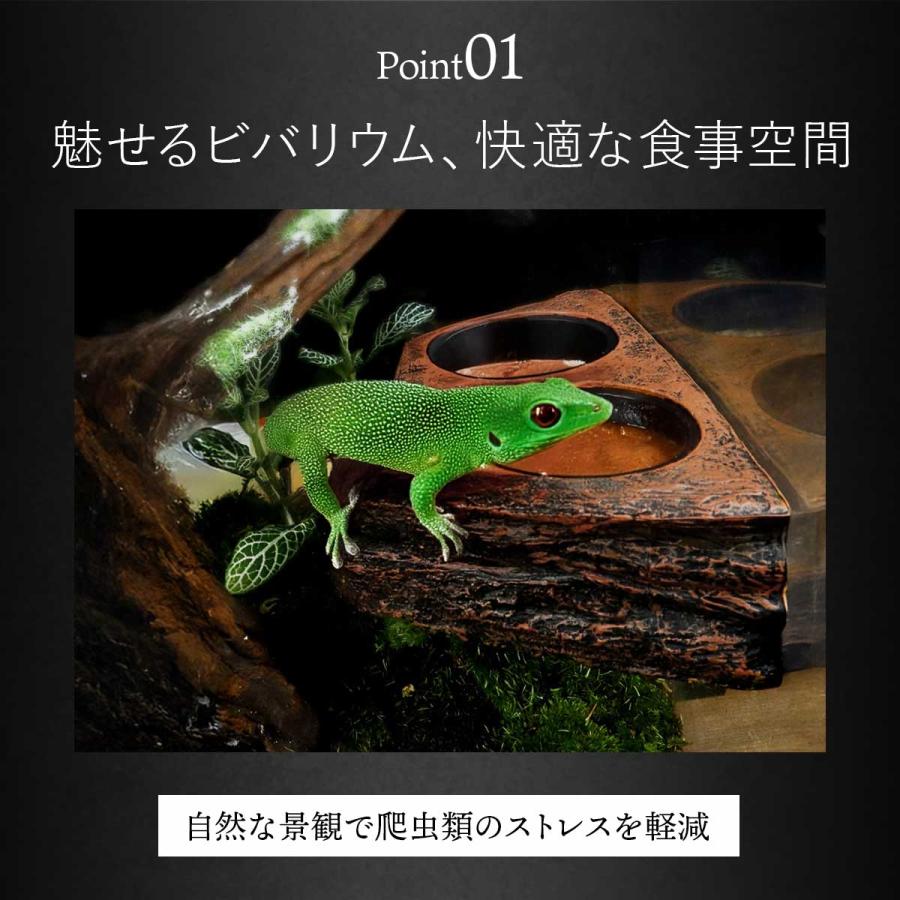 爬虫類 水入れ エサ入れ マグネット ウォーターディッシュ 餌入れ エサ