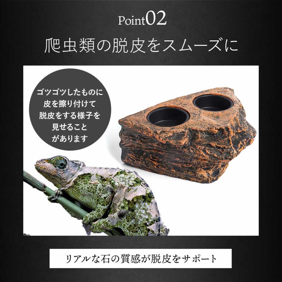 爬虫類 水入れ エサ入れ マグネット ウォーターディッシュ 餌