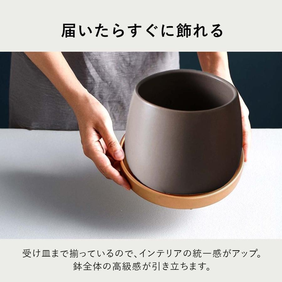 植木鉢 おしゃれ プランター 陶器 受け皿 観葉植物 鉢 多肉植物 : いい