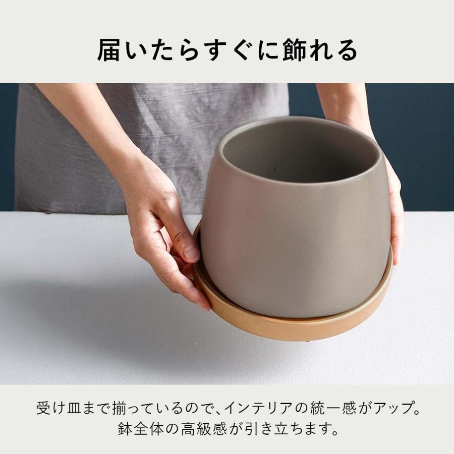 2サイズセット】植木鉢 おしゃれ プランター 陶器 受け皿 観葉植物 鉢