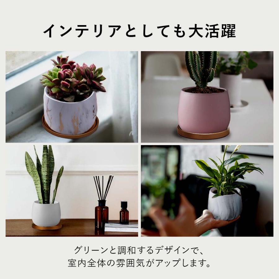 2サイズセット】植木鉢 おしゃれ プランター 陶器 受け皿 観葉植物 鉢