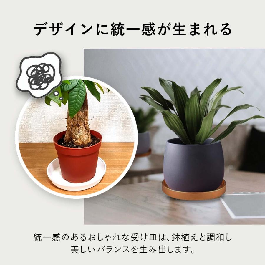 2サイズセット】植木鉢 おしゃれ プランター 陶器 受け皿 観葉植物 鉢