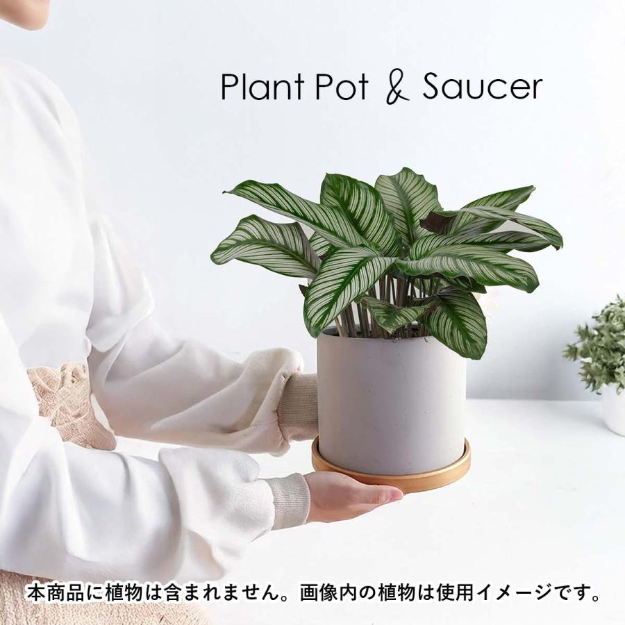 植木鉢 おしゃれ 室内 プランター 陶器 観葉植物 多肉植物 鉢 受け皿