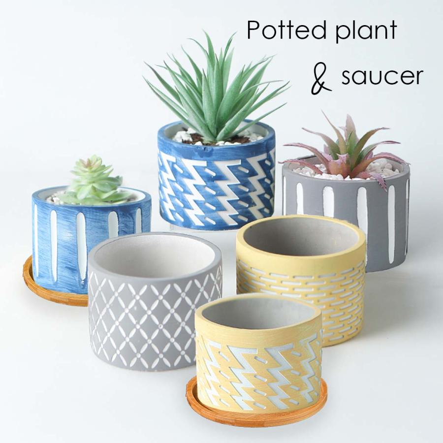 植木鉢 おしゃれ 多肉植物 プランター セット セメント 鉢 観葉植物