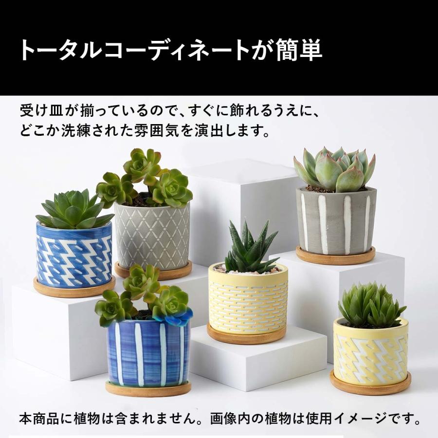 植木鉢 おしゃれ 多肉植物 プランター セット セメント 鉢 観葉植物