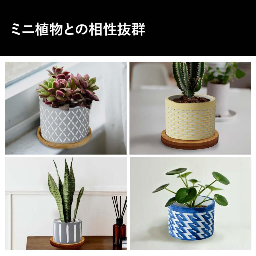植木鉢 おしゃれ 多肉植物 プランター セット セメント 鉢 観葉植物