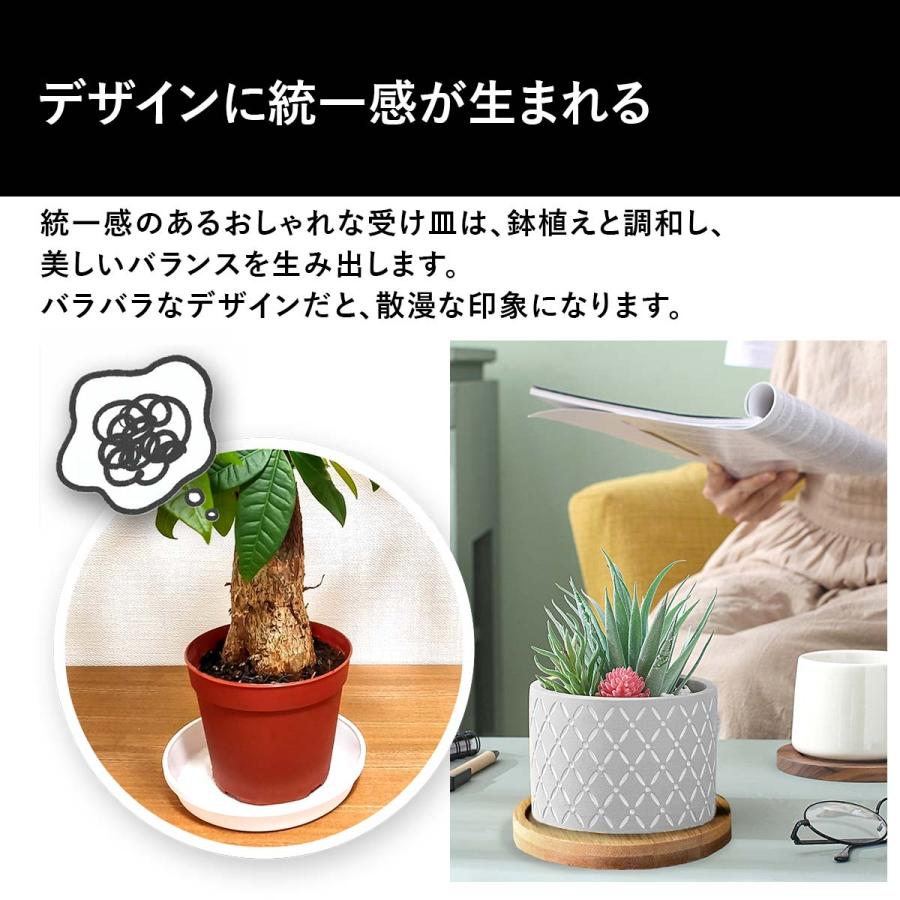 植木鉢 おしゃれ 多肉植物 プランター セット セメント 鉢 観葉植物