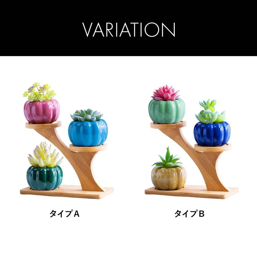 植木鉢 おしゃれ プランター 陶器 セット 多肉植物 鉢 観葉植物 : いい