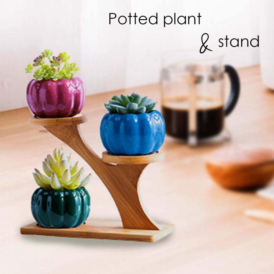 プランター　陶器鉢4個セット、観葉植物　植木鉢　インテリア 植木鉢 おしゃれ プランター 陶器 セット 多肉植物 鉢 観葉植物 : いい