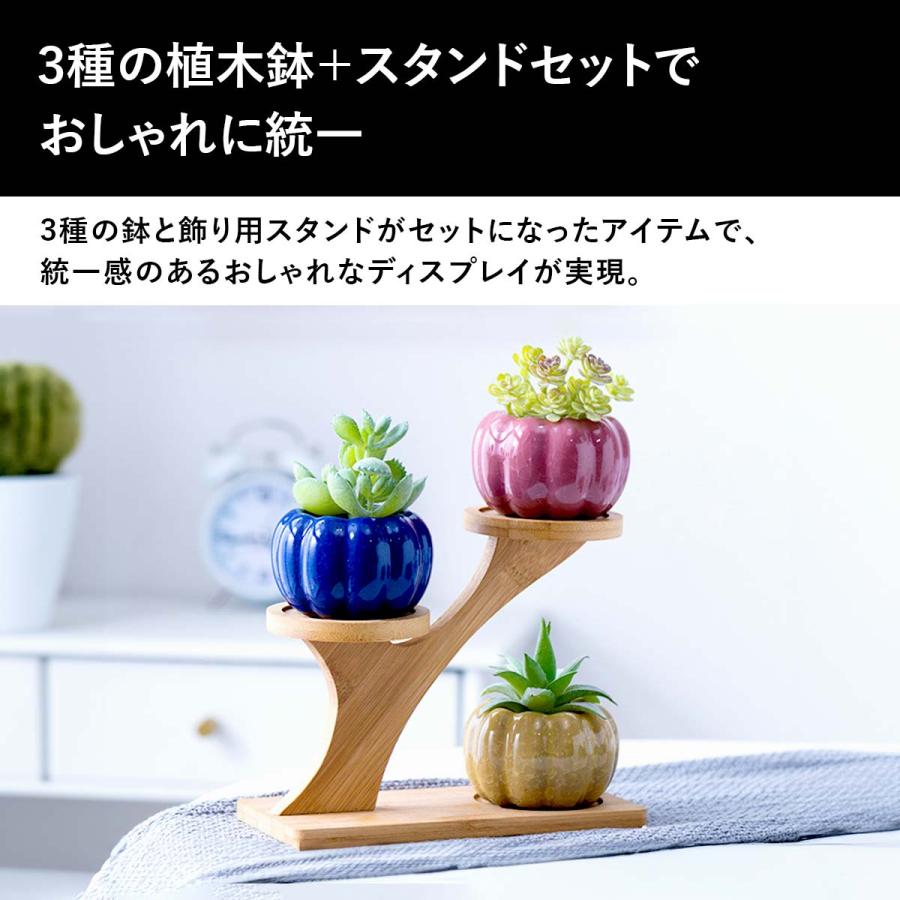 植木鉢 おしゃれ プランター 陶器 セット 多肉植物 鉢 観葉植物 : いい