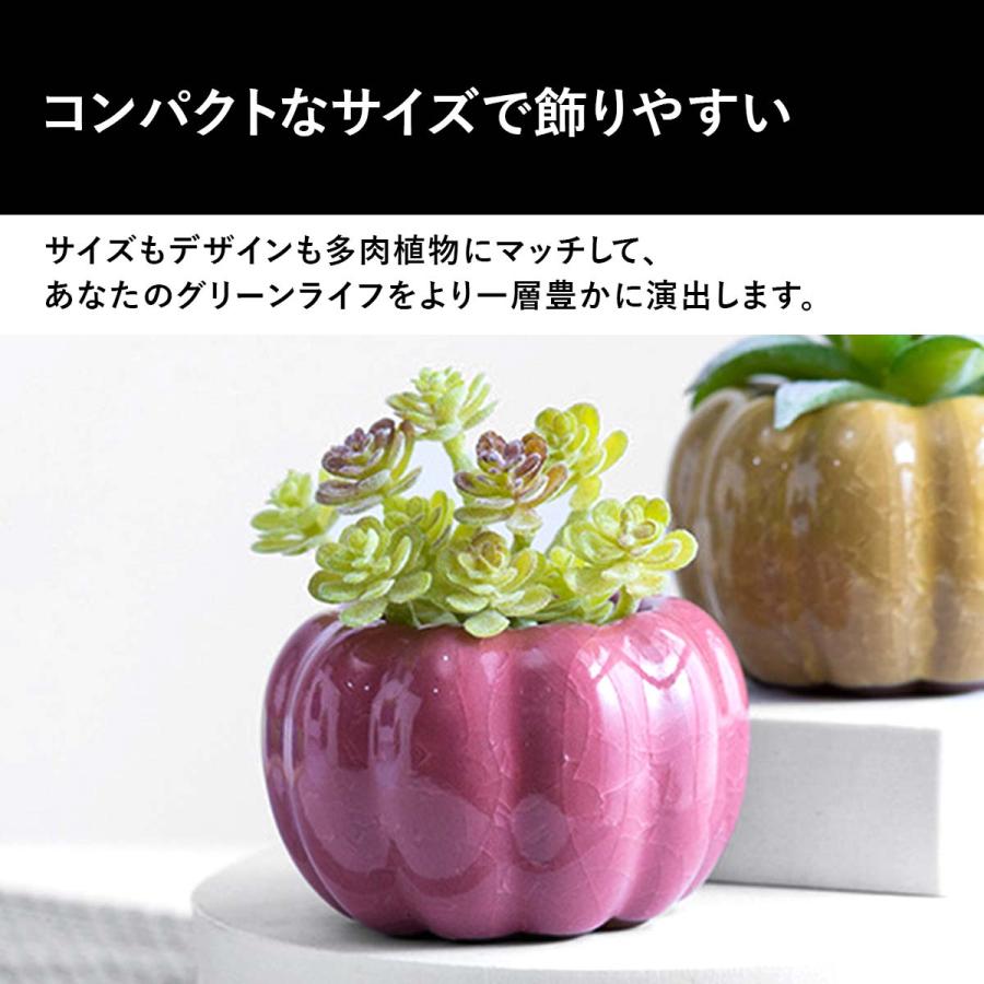 植木鉢 おしゃれ プランター 陶器 セット 多肉植物 鉢 観葉植物 : いい