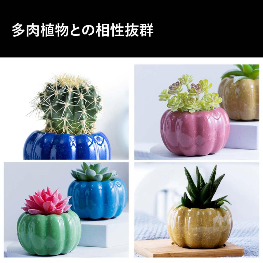 植木鉢 おしゃれ プランター 陶器 セット 多肉植物 鉢 観葉植物 : いい