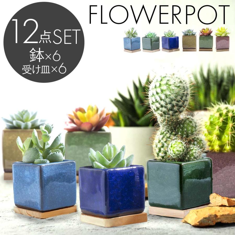 植木鉢 おしゃれ 多肉植物 プランター セット 陶器 鉢 観葉植物 : いい