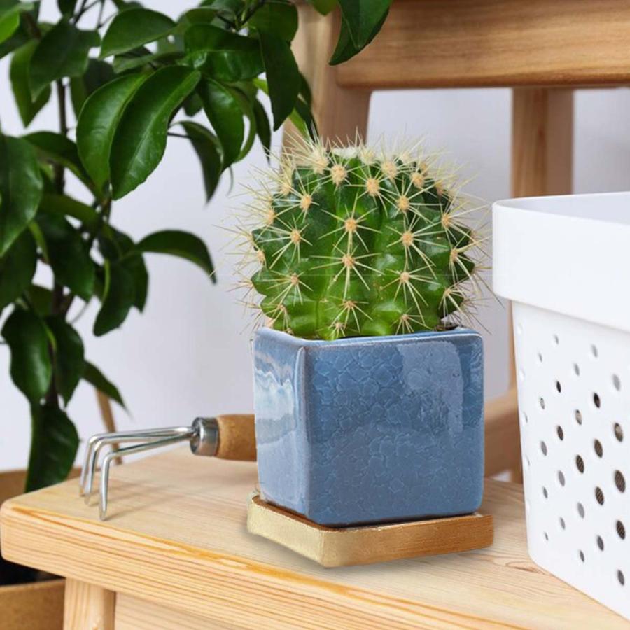 植木鉢 おしゃれ 多肉植物 プランター セット 陶器 鉢 観葉植物 : いい