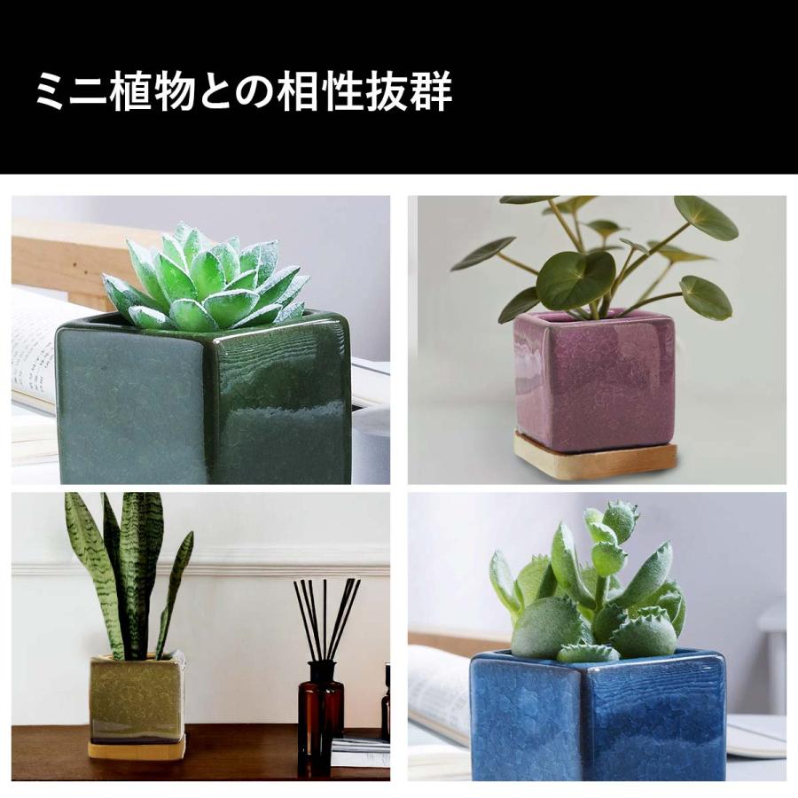 植木鉢 おしゃれ 多肉植物 プランター セット 陶器 鉢 観葉植物 : いい