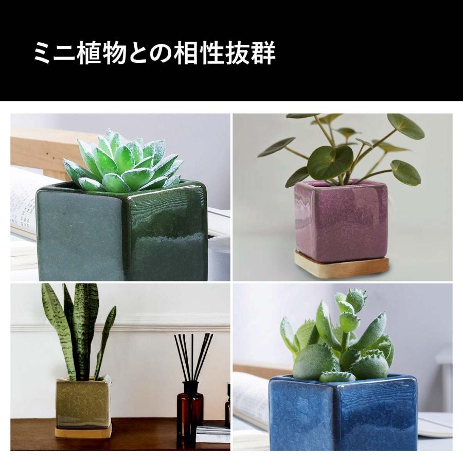 植木鉢 おしゃれ 多肉植物 プランター セット 陶器 鉢 観葉植物 : いい