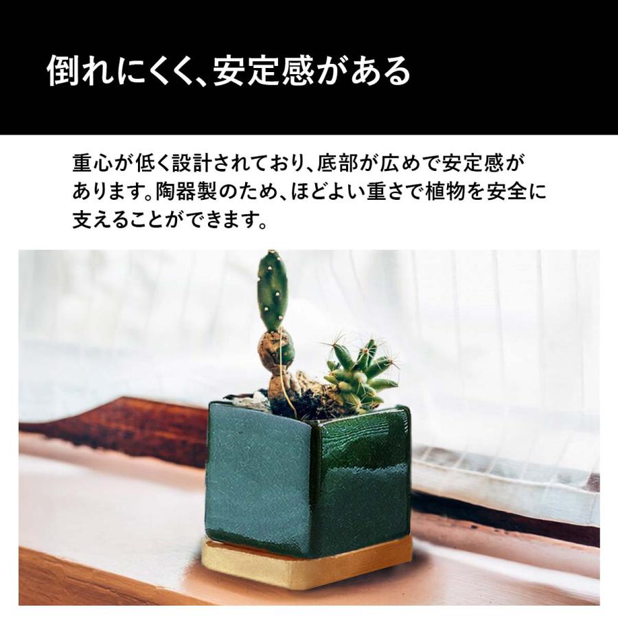 植木鉢 おしゃれ 多肉植物 プランター セット 陶器 鉢 観葉植物 : いい