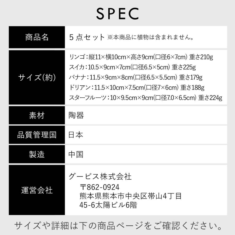 5点セット】植木鉢 おしゃれ 多肉植物 プランター セット 陶器 鉢 観葉