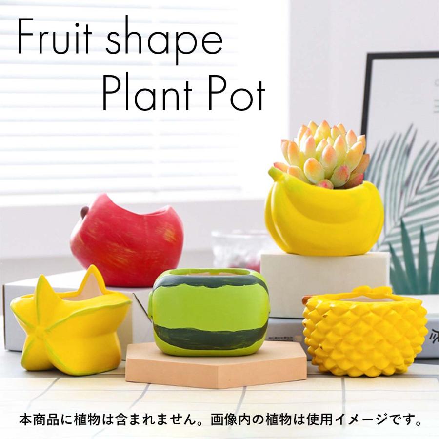 5点セット】植木鉢 おしゃれ 多肉植物 プランター セット 陶器 鉢 観葉
