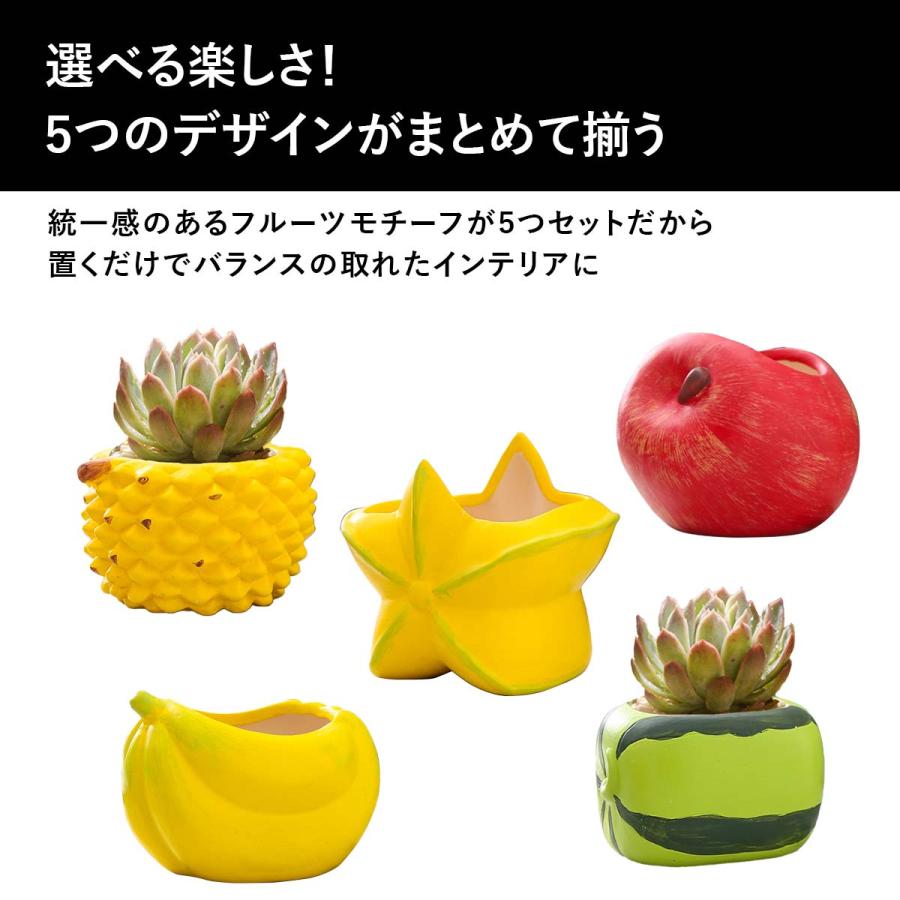 5点セット】植木鉢 おしゃれ 多肉植物 プランター セット 陶器 鉢 観葉