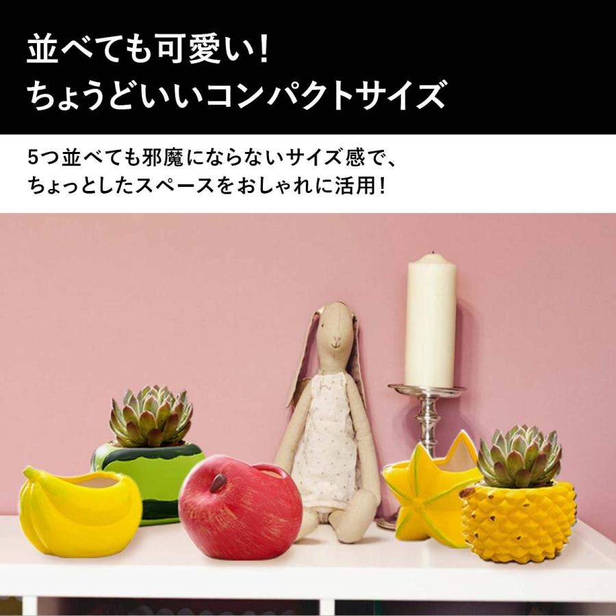5点セット】植木鉢 おしゃれ 多肉植物 プランター セット 陶器 鉢 観葉