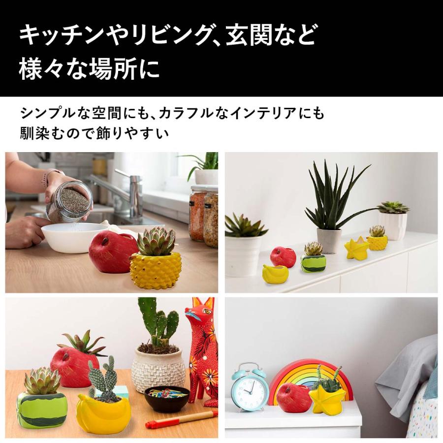 口径24.5cm植木鉢多肉塊根観葉植物ハンドメイド陶器陶芸 5点セット】植木鉢 おしゃれ 多肉植物 プランター セット 陶器 鉢 観葉