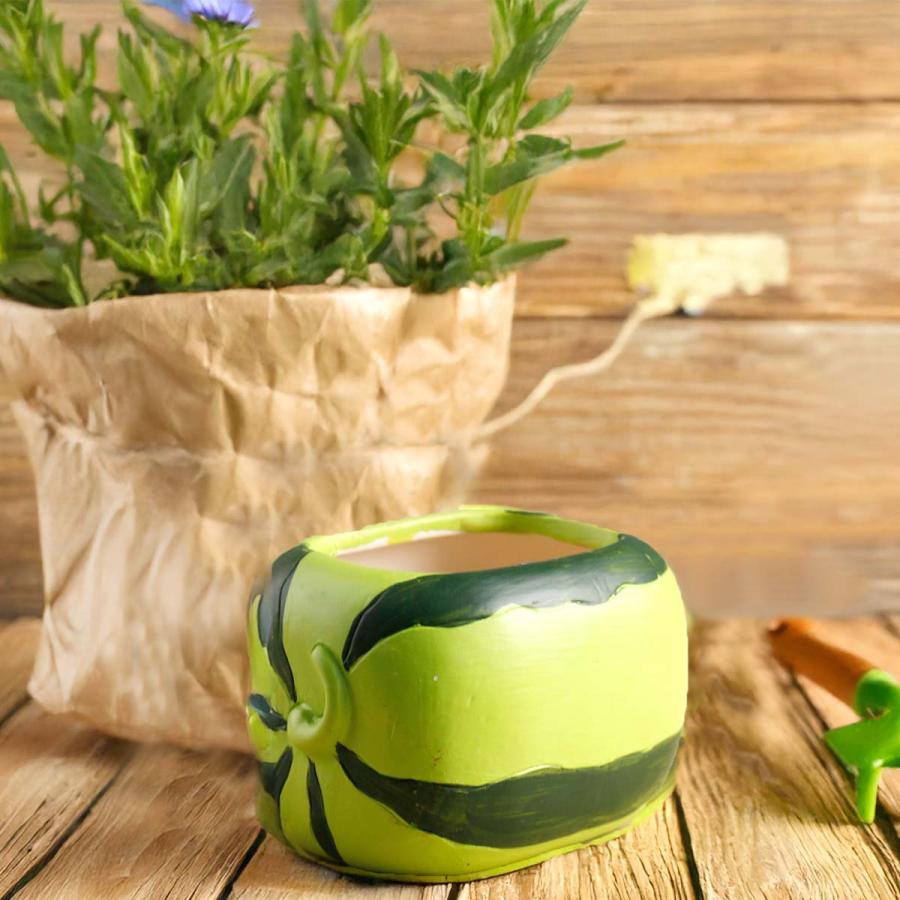 植木鉢セット 5点セット】植木鉢 おしゃれ 多肉植物 プランター セット 陶器 鉢 観葉