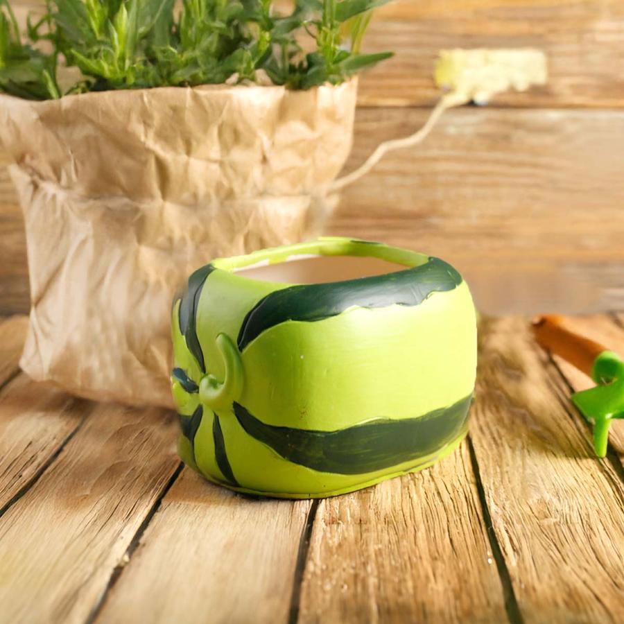 是好鉢展　1 新緑GＷ特売品 陶器製植木鉢5個セット 5点セット】植木鉢 おしゃれ 多肉植物 プランター セット 陶器 鉢 観葉