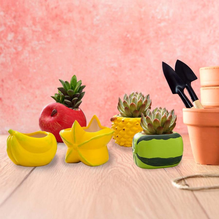 5点セット】植木鉢 おしゃれ 多肉植物 プランター セット 陶器 鉢 観葉