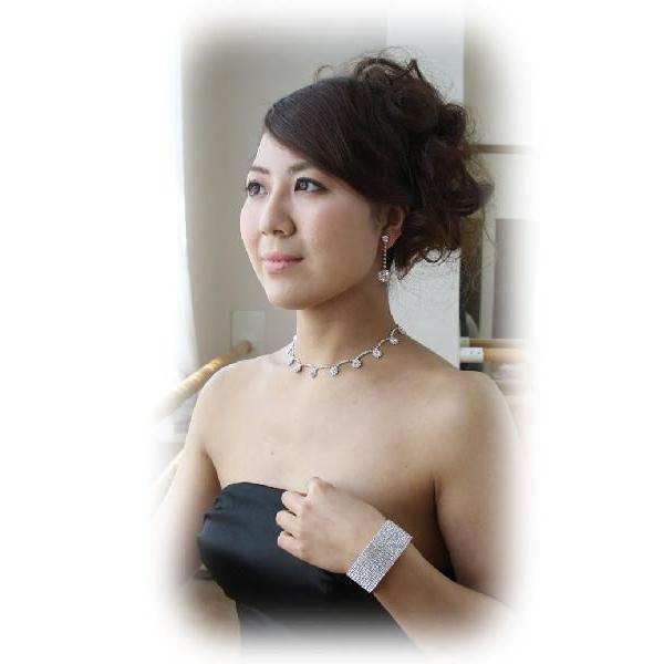 SWAROVSKI（スワロフスキー） チョーカー ネックレス necklace