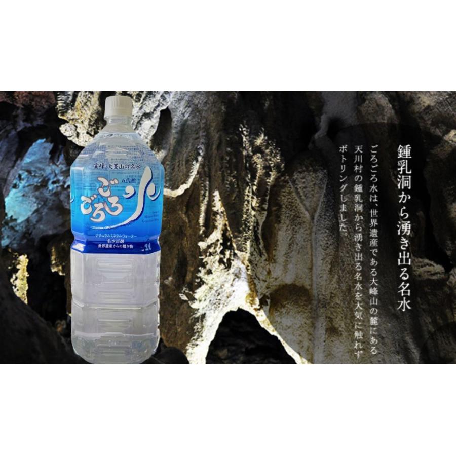 水 ミネラルウォーター ごろごろ水2L×6本入 天然水 奈良 吉野