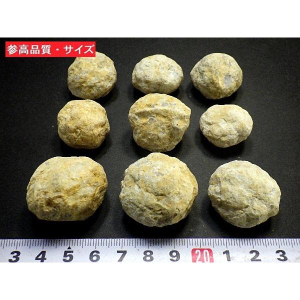 ジオード クォーツ 天然水晶 100石パック 1石30mm 割れてい