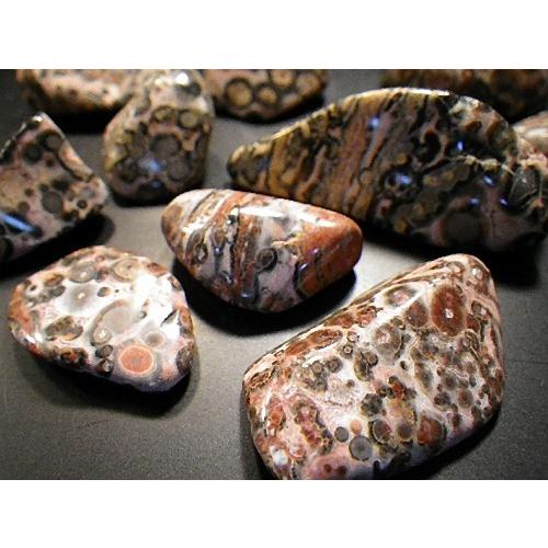 レオパードスキン ジャスパー 50gパック 握り石 ジャガーストーン