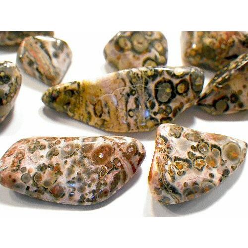 レオパードスキン ジャスパー 50gパック 握り石 ジャガーストーン